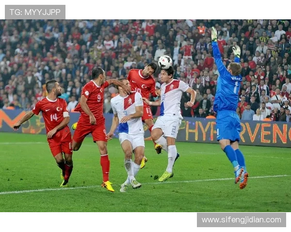 科隆在德甲联赛中展现强大实力，持续保持状态备受关注