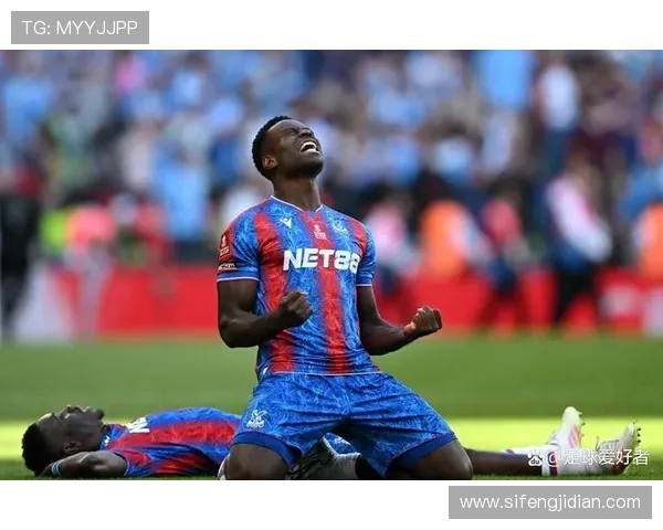 纽卡斯尔联转会策略解析：引援聚焦实用型球员，注重长期竞争力构建