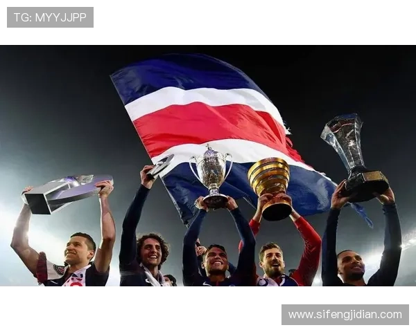 里昂球队结构 里昂球队结构